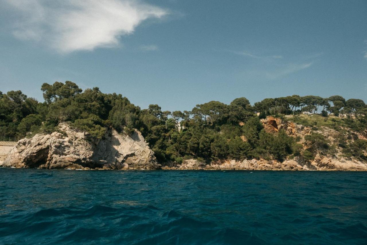 Exclusive waterfront villa - Cote dAzur Le Pradet Extérieur photo